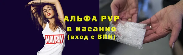 спайс Арсеньев